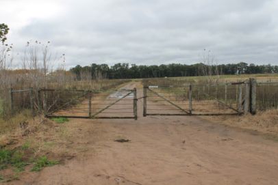 En el Partido de SALADILLO, Provincia de Buenos Aires, a 3.500 mts de la ruta Nº 51, 
a 24 km de la localidad de Saladillo y a 207 km de Capital Federal.