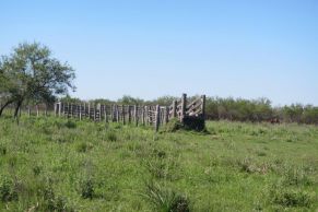 En el Departamento de Curuzu Cuatia, Provincia de Corrientes. Sobre Ruta Nº 23.