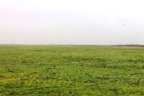 En el Partido de Cañuelas, Provincia de Buenos Aires. A 5 km del asfalto por camino real de tierra.